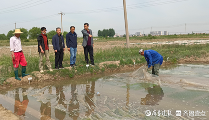 东营市水稻产业服务团深入基层开展技术指导服务