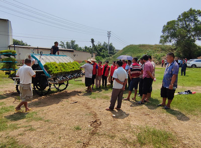 桂平市开展水稻机插秧同步侧深施肥技术和插秧机的维护保养演示观摩活动