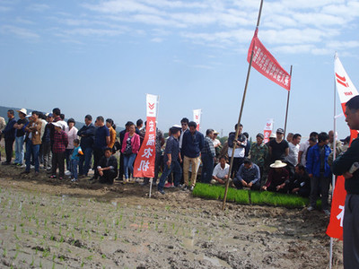 组织学员参加机插秧现场会 加快推进水稻全程机械化生产
