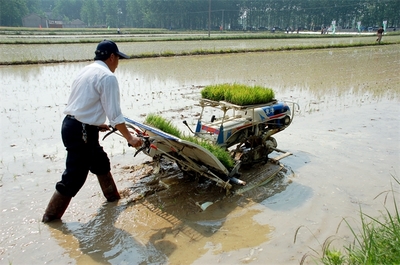 水稻生产补短板:重点提高机械化种植水平