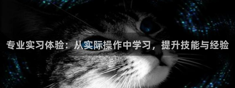 门徒娱乐怎么提不了款：专业实习体验：从实际操作中学习，提升技