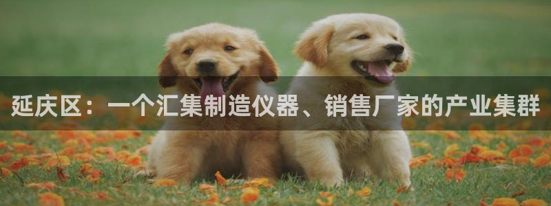 门徒娱乐滴qv382223：延庆区：一个汇集制造仪器、销售厂