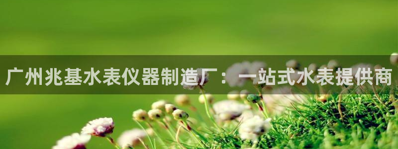 娱乐门徒免费下载：广州兆基水表仪器制造厂：一站式水表提供商
